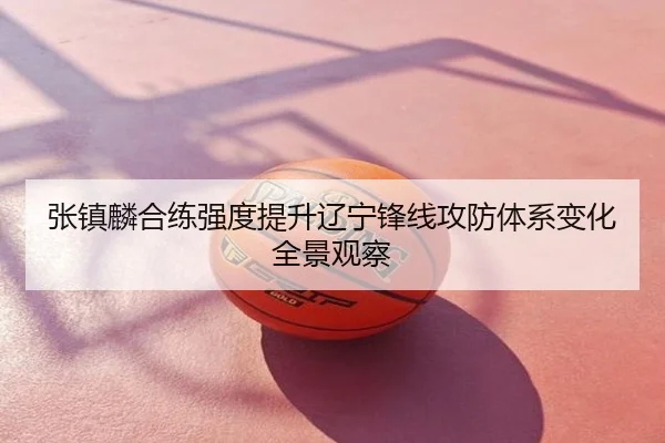 张镇麟合练强度提升辽宁锋线攻防体系变化全景观察